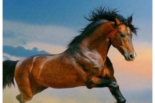 揭秘属马45岁命运:如何把握人生中最重要的转折点 揭秘属马45岁命运:如何把握人生中最重要的转折点