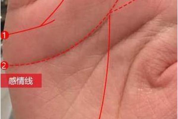 郎官命解析:揭示你命中注定的潜力与未来 郎官命解析:揭示你命中注定的潜力与未来