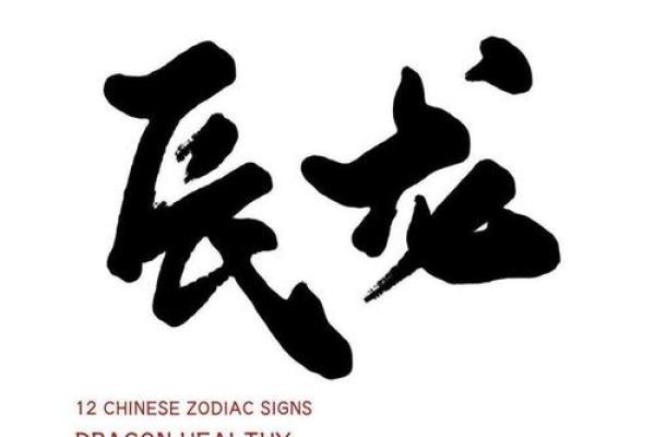 属龙在五行中的命理解读与人生启示 属龙在五行中的命理解读与人生启示