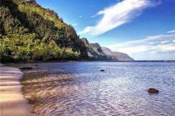 什么最旺水命的人财运最好？揭秘旺财法则！