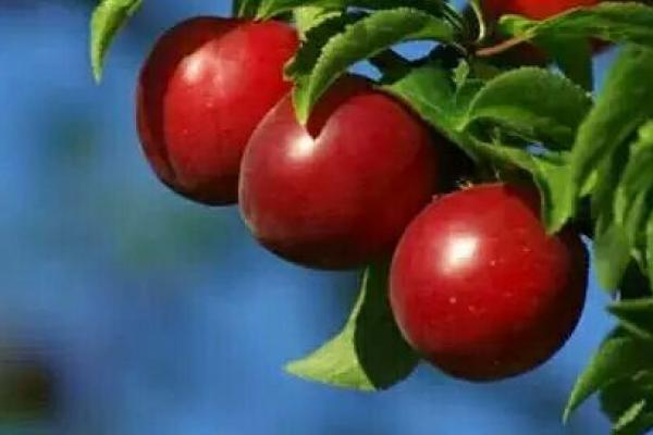 人怕命短不怕穷,生命的意义与价值探讨 人怕命短不怕穷,生命的意义与价值探讨