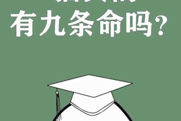 揭秘有九条命的生肖,了解猫的奥秘与传说! 揭秘有九条命的生肖,了解猫的奥秘与传说!