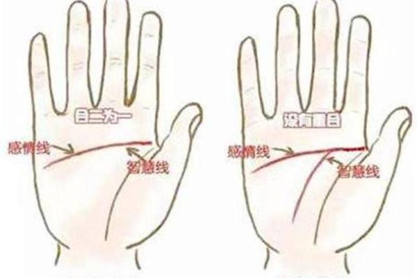 手掌的大小与形状揭示命运:揭秘手相的奥秘 手掌的大小与形状揭示命运:揭秘手相的奥秘