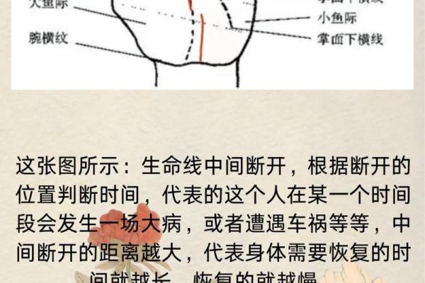 手掌的大小与形状揭示命运:揭秘手相的奥秘 手掌的大小与形状揭示命运:揭秘手相的奥秘