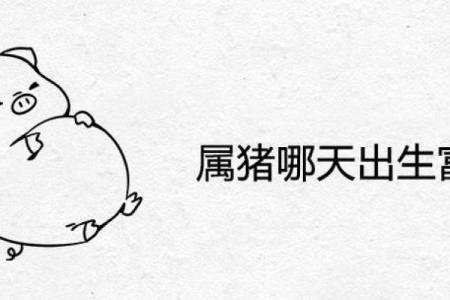 属猪三月出生的人命格解析：福气与魅力的双重盛宴
