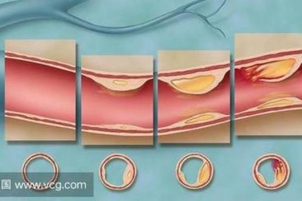 属兔金命的你，选择洗脚盆的秘诀与养生之道！