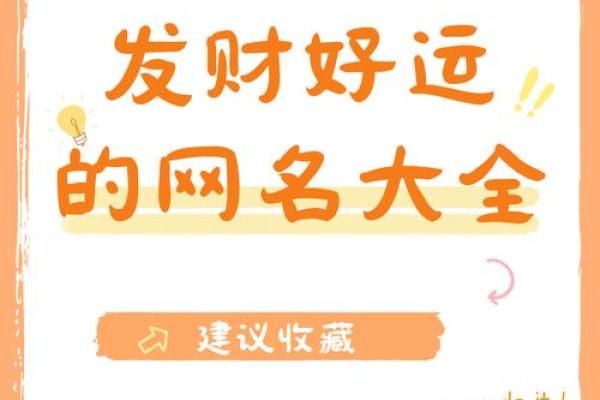 属猪火命人的招财佩戴选择：助力财运与人生幸福的指引