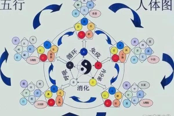 牛年属土命，解读牛的五行与生活智慧