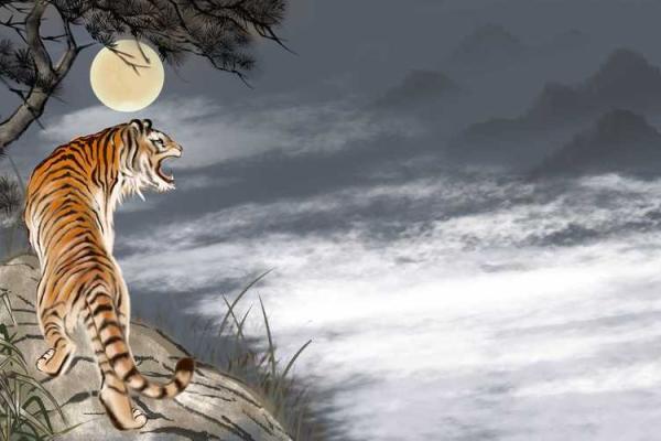 十月初三生的龙命:深析属龙之人的命运与个性魅力 十月初三生的龙命:深析属龙之人的命运与个性魅力