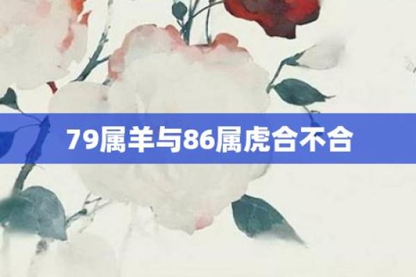 属虎二月二十六日的命运解析与人生启示 属虎二月二十六日的命运解析与人生启示