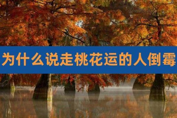 从四柱看桃花运:缘分与命理的完美交融 从四柱看桃花运:缘分与命理的完美交融