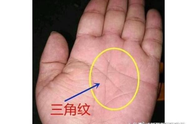 手相解读：命运之线，揭示你人生的秘密！