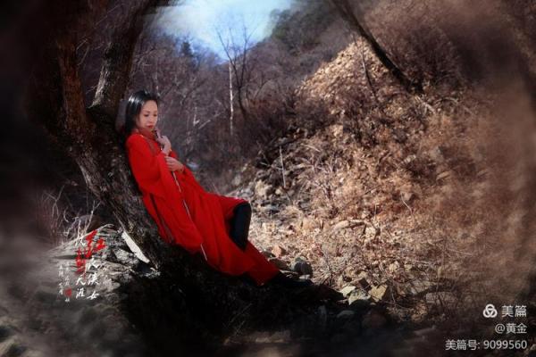 世情难料，命运无常，生肖背后的深意与启示