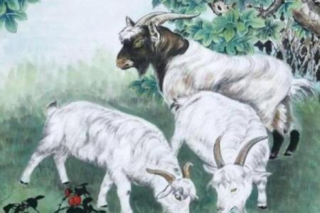 属羊命格偏弱的原因与应对策略解析