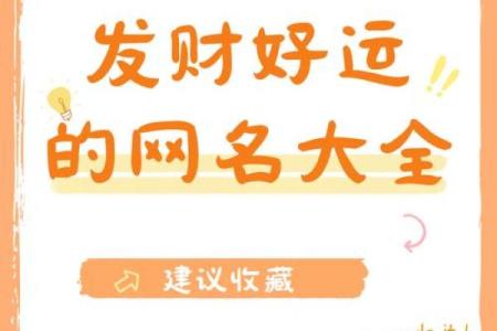 属猪火命人的招财佩戴选择：助力财运与人生幸福的指引