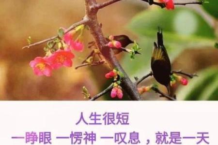 三两三钱男命的命运及注意事项解析