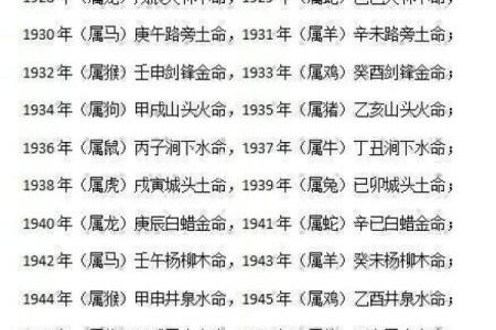 属蛇木命的人如何选择合适的车牌号？