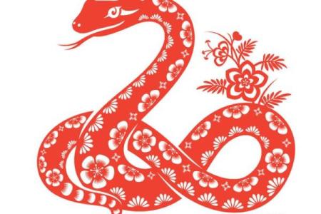 属蛇兔吃草，命星与运势的奇妙联结