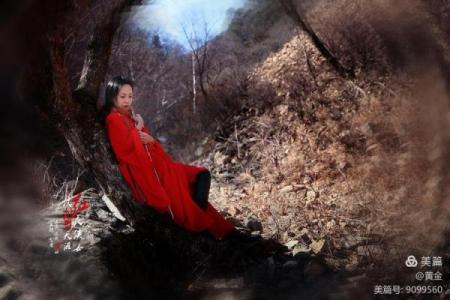 世情难料，命运无常，生肖背后的深意与启示