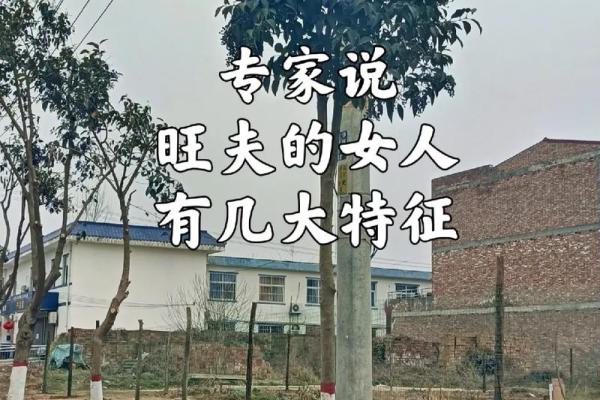 解析出生时辰对羊旺夫命的影响,助你找到真爱与幸福! 解析出生时辰对羊旺夫命的影响,助你找到真爱与幸福!