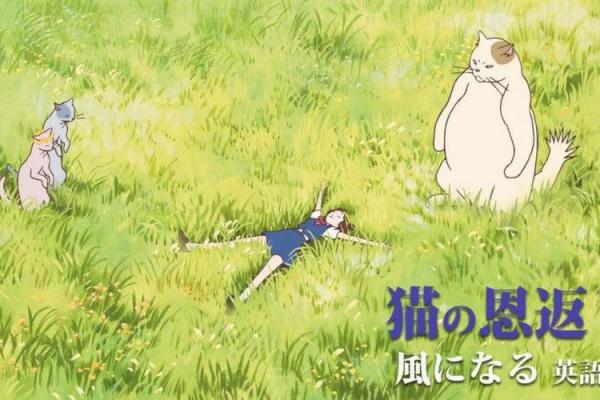 命是空调救的：在炎热夏季的庇护下找到真正的自我