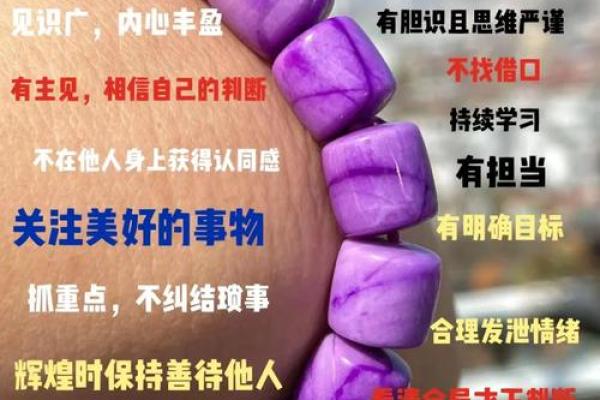 命运的格局：如何解读生命的轨迹与机遇