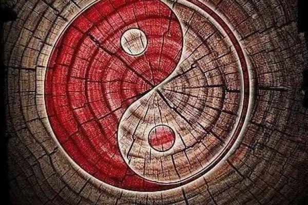 山头火为何被誉为金命：探寻火的魅力与意义