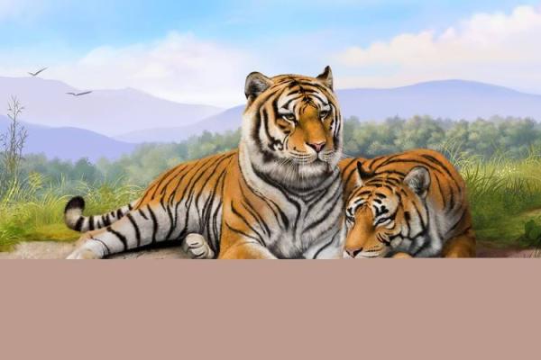 属虎人农历正月初三的命运解析与人生哲学 属虎人农历正月初三的命运解析与人生哲学