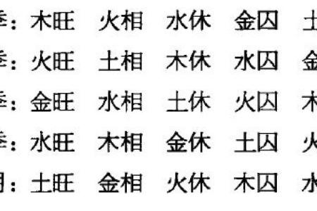 申运五行揭秘：属于什么命？了解你的命理密码！