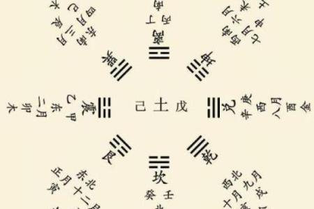 命理解析：为什么你的命不适合带朱雀？看完让你恍然大悟！