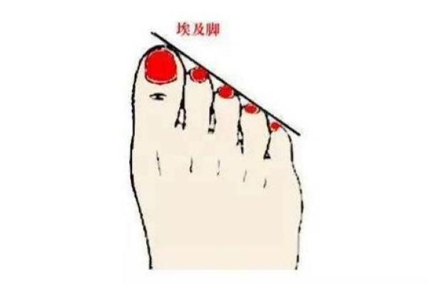 女人脚有十二指蕴藏的命运秘密,解密你的未来! 女人脚有十二指蕴藏的命运秘密,解密你的未来!