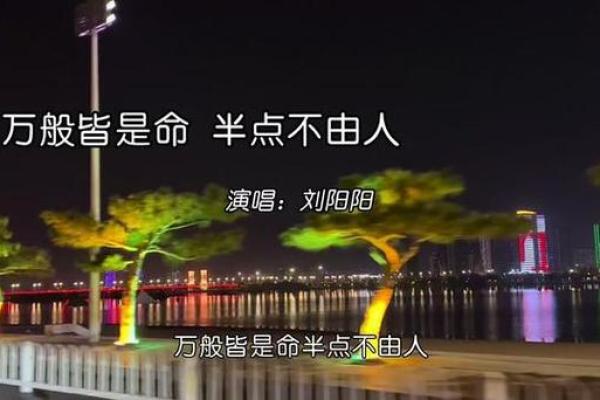 如何知晓命里缺什么,助你更好地规划人生道路 如何知晓命里缺什么,助你更好地规划人生道路