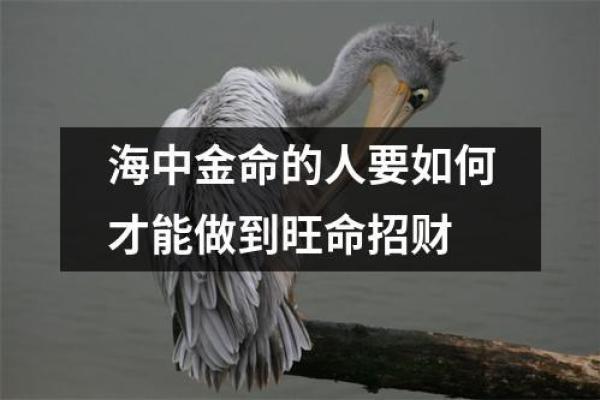 什么命的人旺海中金命：解析命理中的金水关系和人生运势