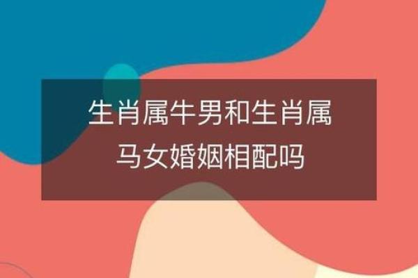 属牛八月生人：命运与性格的深度解析