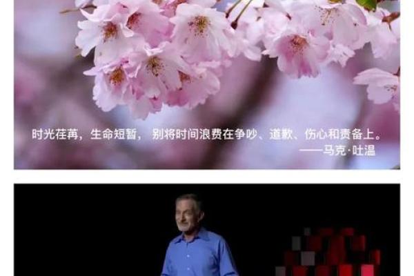 揭秘童子命为何忌三六九:神秘命理与人生启示 揭秘童子命为何忌三六九:神秘命理与人生启示