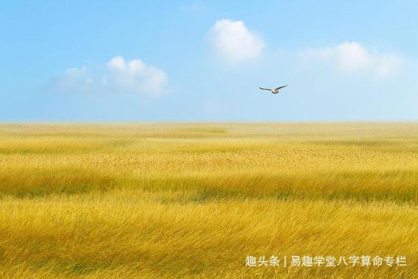 解密金箔金命：揭示喜用神背后的深意与人生智慧