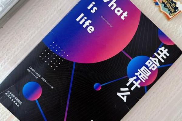 生来死去九条命：探索生命的意义与轮回之哲学