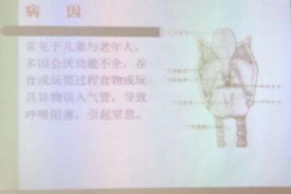 救人一命的幸福与生活中更深层的快乐探讨 救人一命的幸福与生活中更深层的快乐探讨