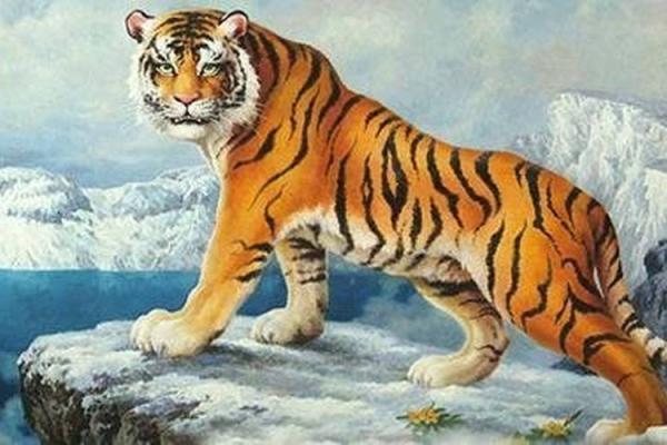 生肖虎木命适合的职业探索:找到你的职场定位与发展之路 生肖虎木命适合的职业探索:找到你的职场定位与发展之路