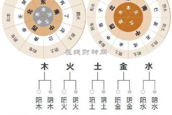 揭开琥珀命的神秘面纱:算命中的28种命格之一 揭开琥珀命的神秘面纱:算命中的28种命格之一