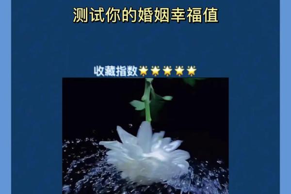 如何为木旺女命选择适合的旺男人?解密幸福婚姻的奥秘! 如何为木旺女命选择适合的旺男人?解密幸福婚姻的奥秘!