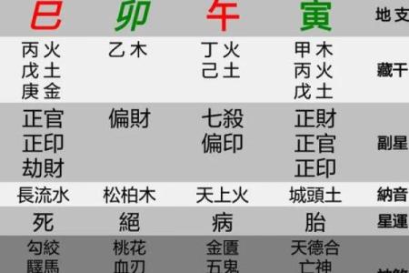 什么是日支五行？解析命局中的病与用神