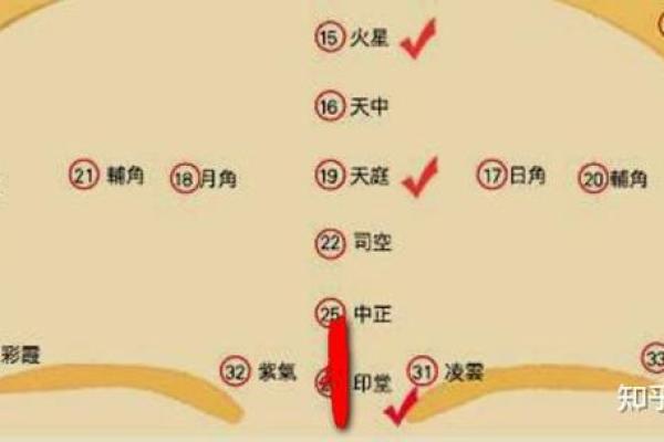 属猴2004:活力四射与智慧并存的命格解析 属猴2004:活力四射与智慧并存的命格解析