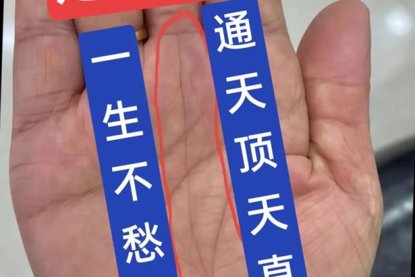 如何解读你的命格,揭示命运的秘密与机遇 如何解读你的命格,揭示命运的秘密与机遇