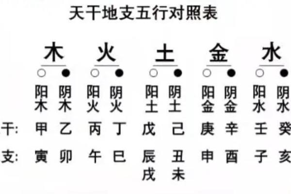 生肖的阴阳命理解析：你是阴命还是阳命？