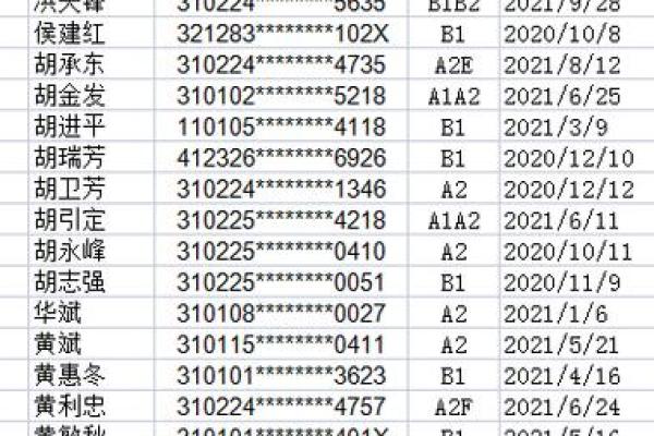 身份证尾号为1的命运解析:揭示个性与机遇的密码 身份证尾号为1的命运解析:揭示个性与机遇的密码