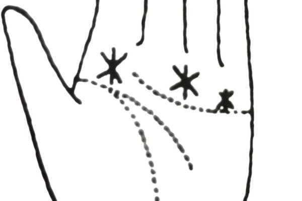 九个螺的手相解析：揭示女性命运与运势的奥秘