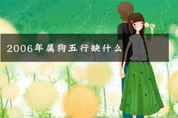 属狗女金命：适合的生意与发展方向分析