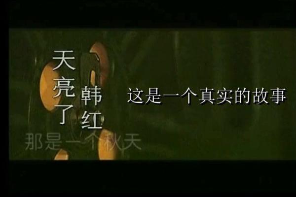 命运如何影响我们的关系：聚少离多的背后故事