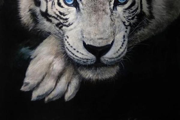 壬寅虎年出生的命运解析:揭示你的性格与人生之路 壬寅虎年出生的命运解析:揭示你的性格与人生之路